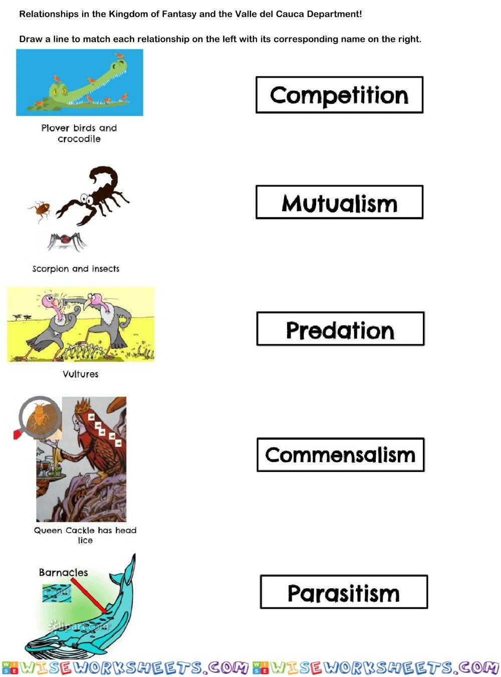 Symbiotic Relationships in the Kingdom of Fantasy and Valle del Cauca Department