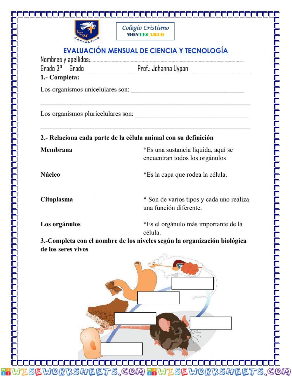 Evaluación mensual de ciencia y tecnologia