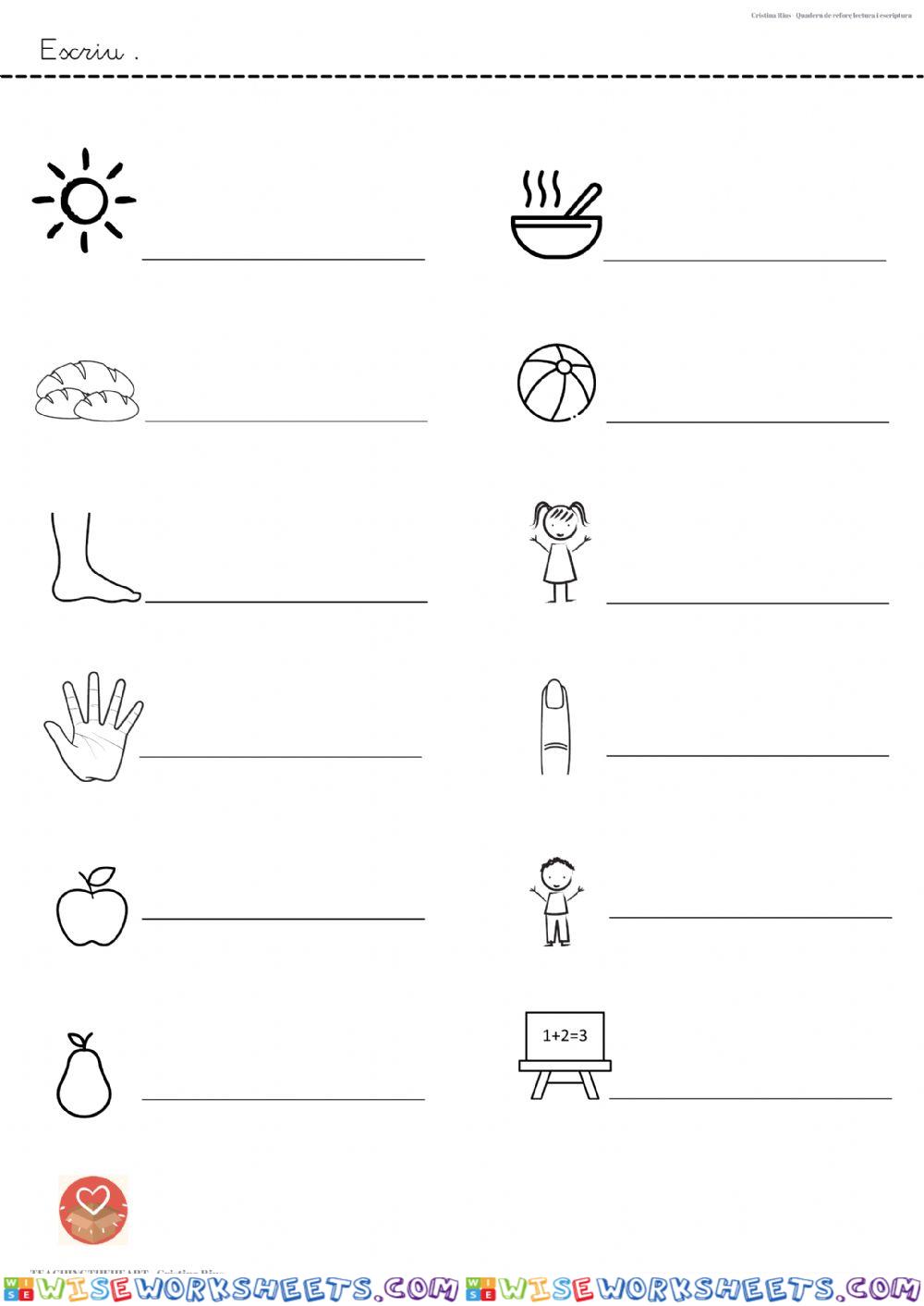 worksheet