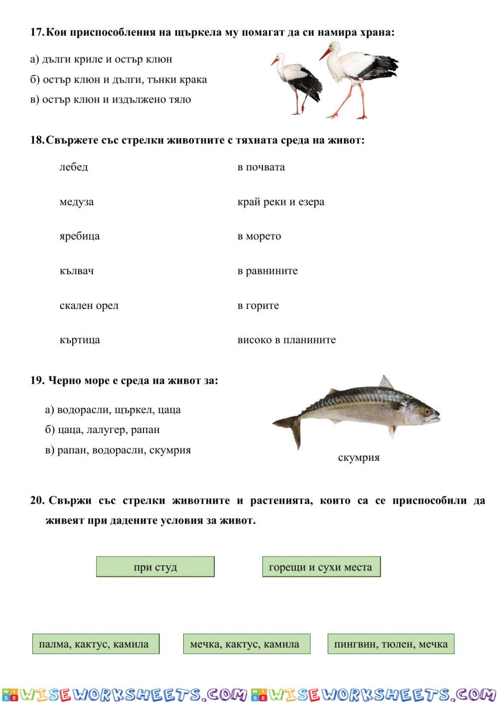 worksheet