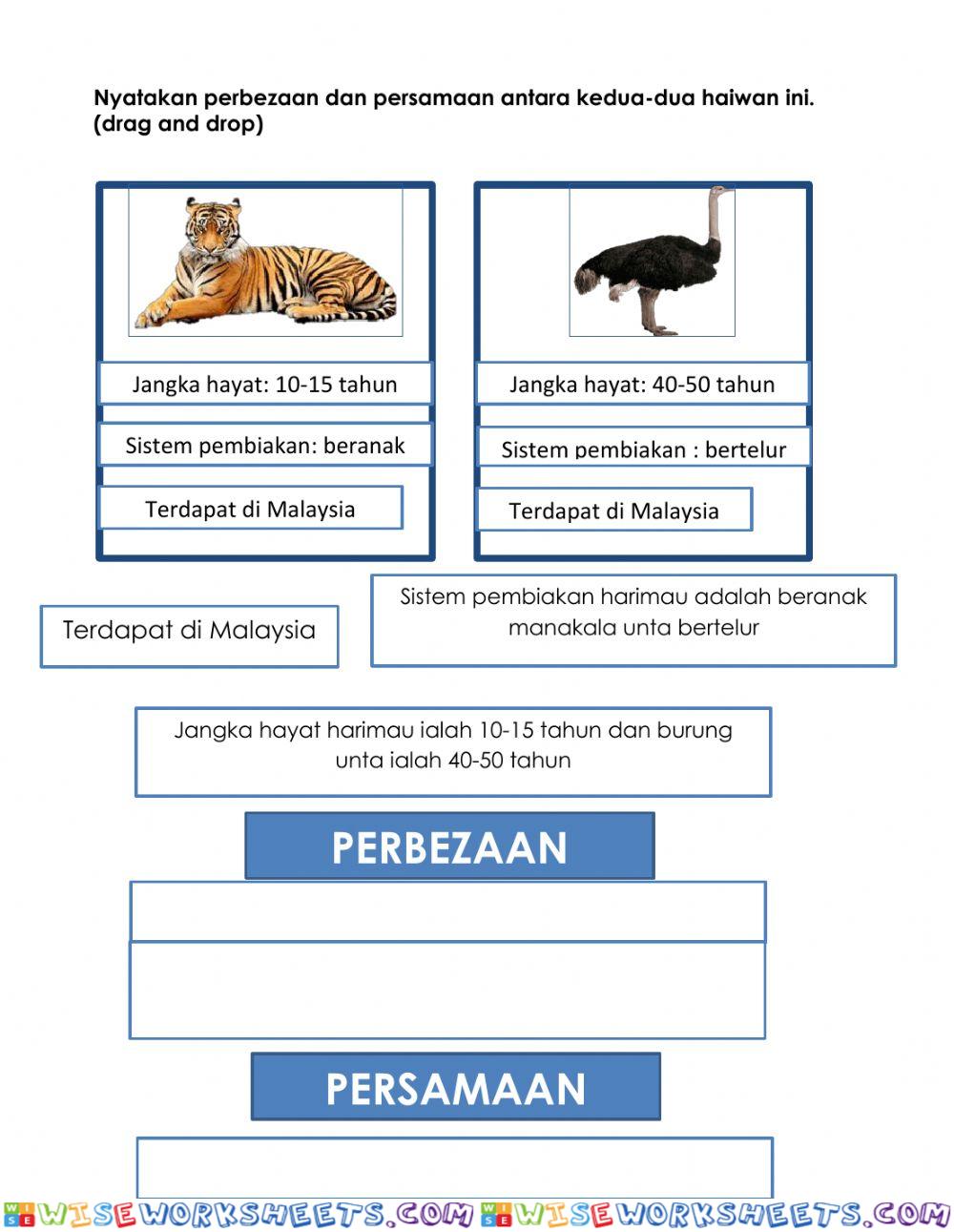 Latihan banding beza