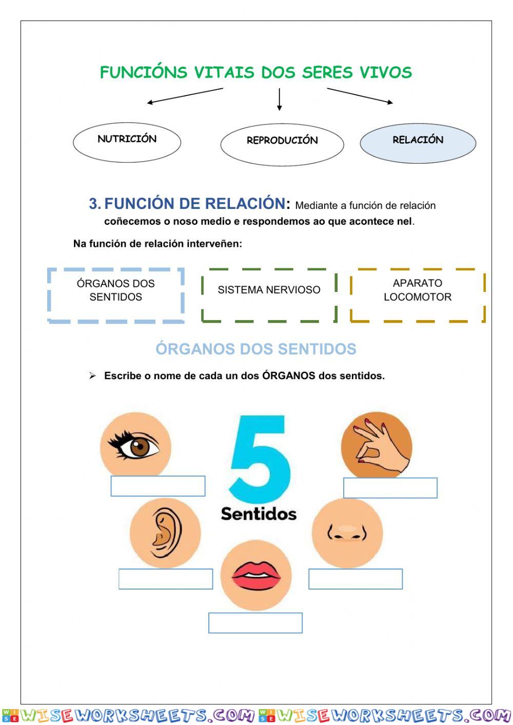 Repaso función de relación