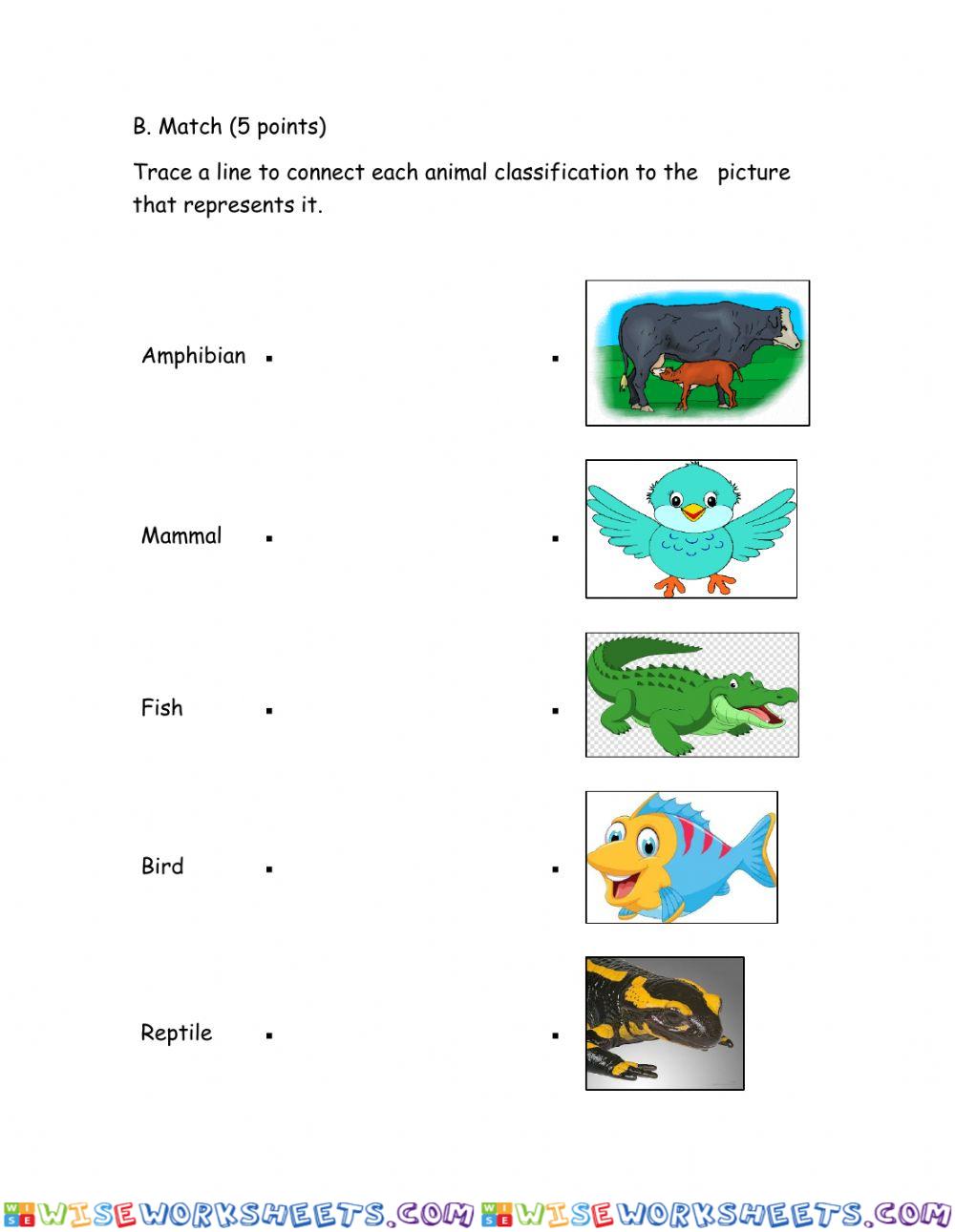worksheet