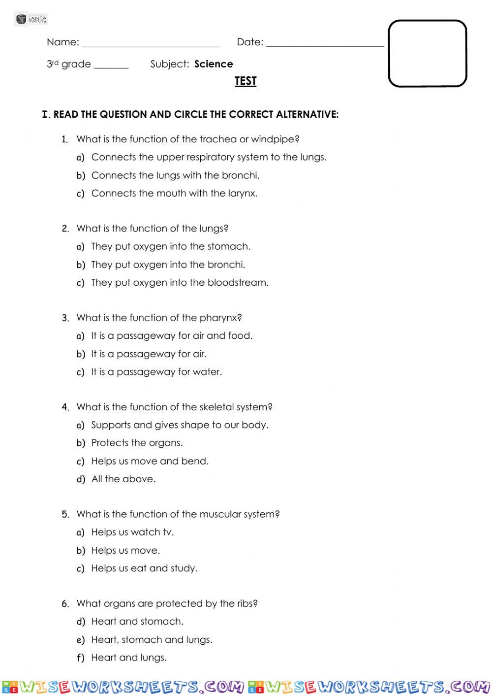 Test - Human Body Systems