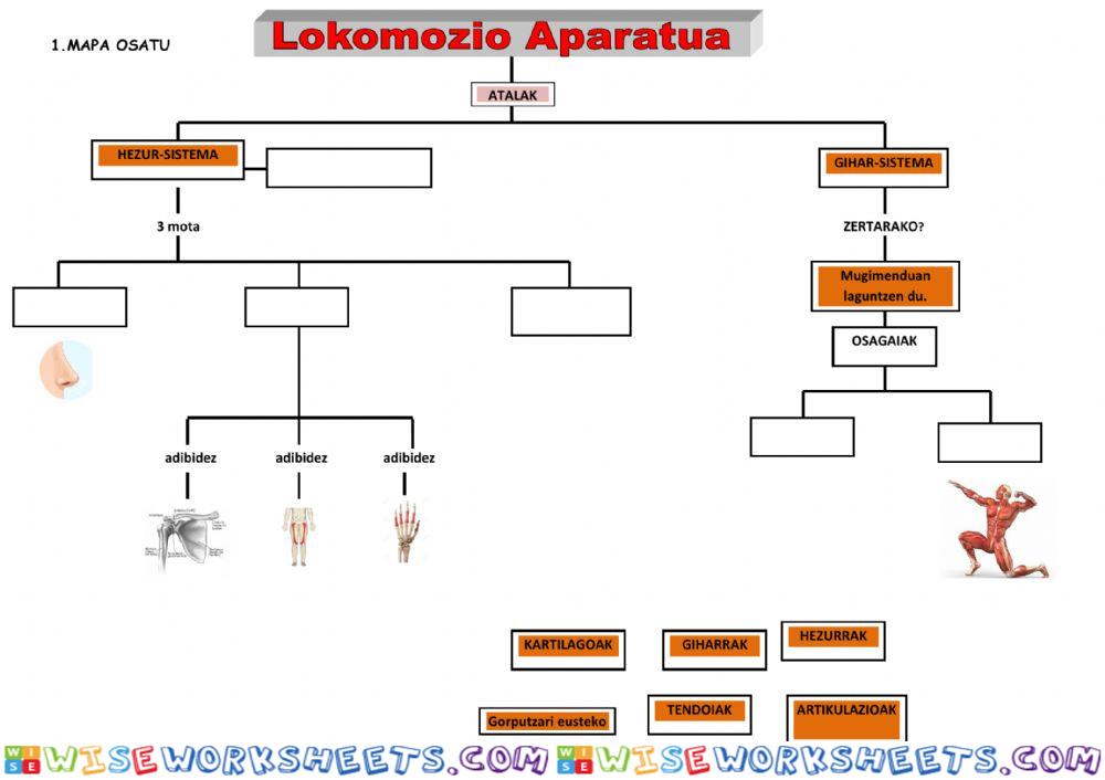 Lokomozio aparatua