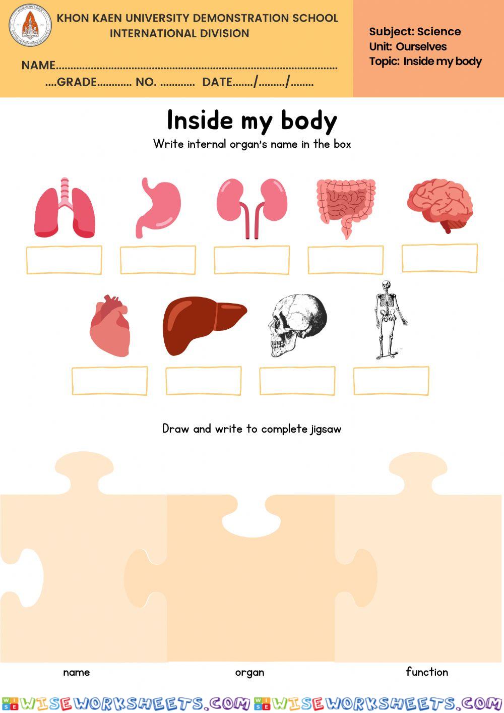 Inside my body