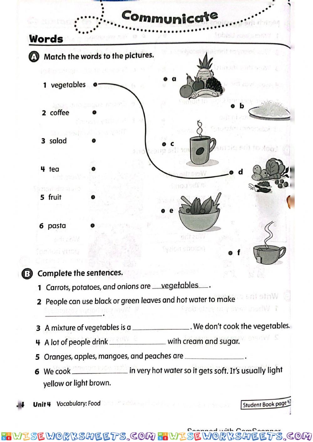 worksheet