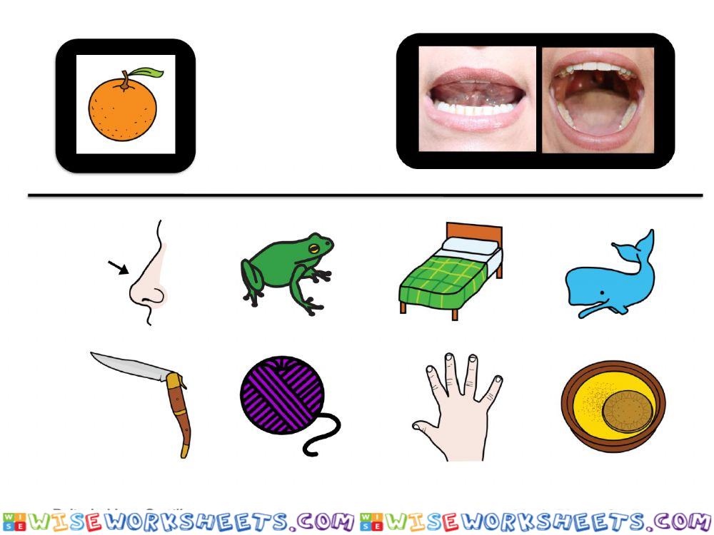 worksheet