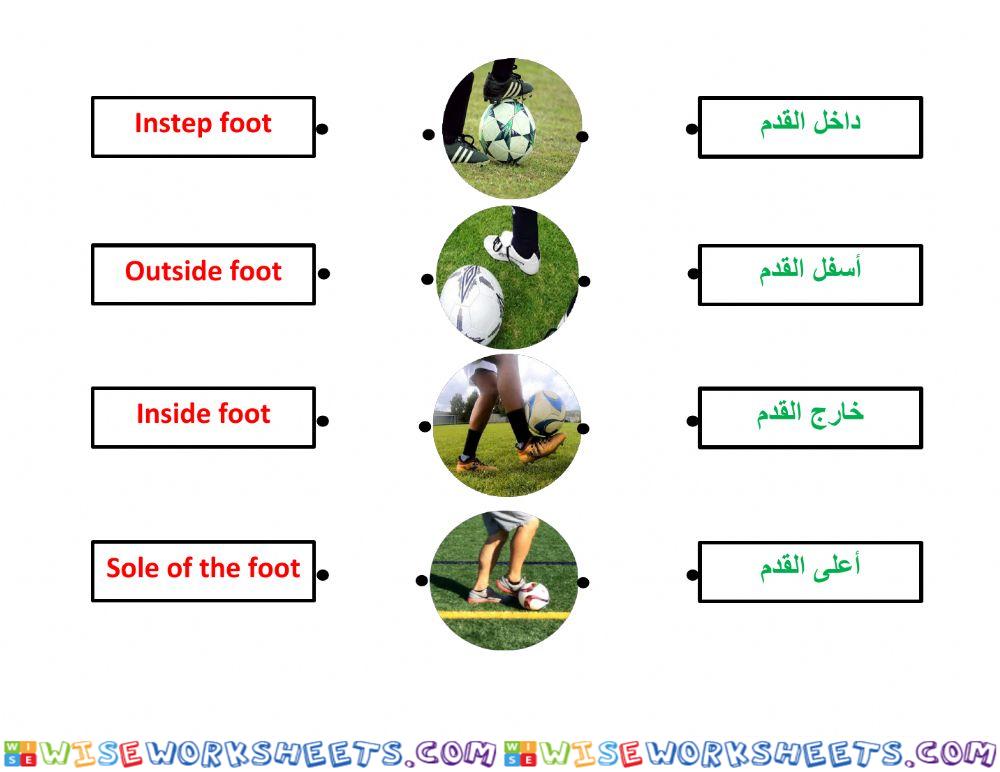 Football - Foot parts