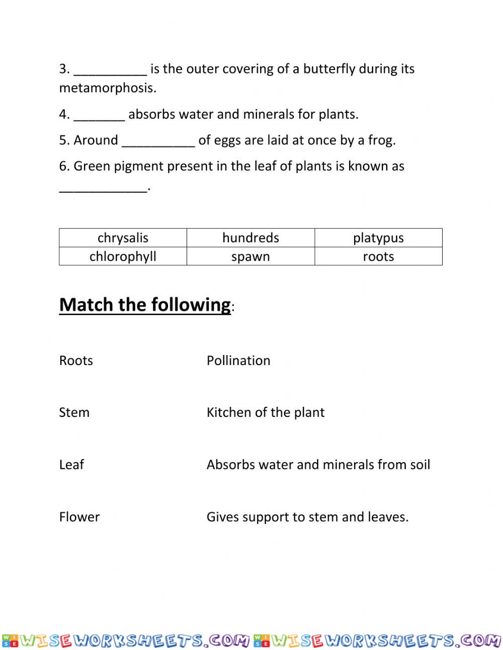 worksheet