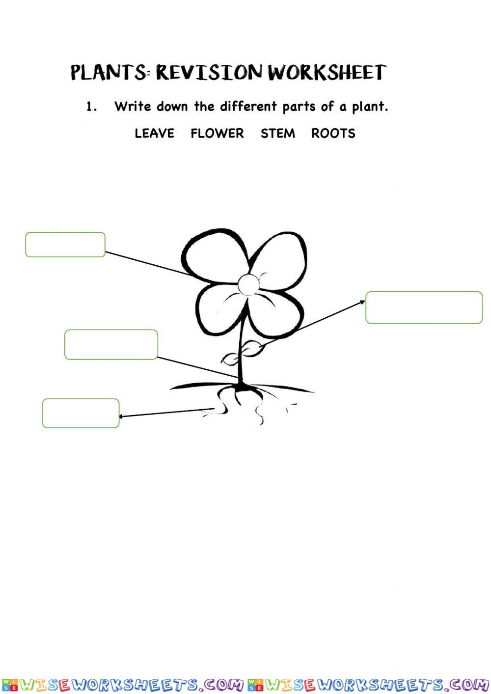 worksheet