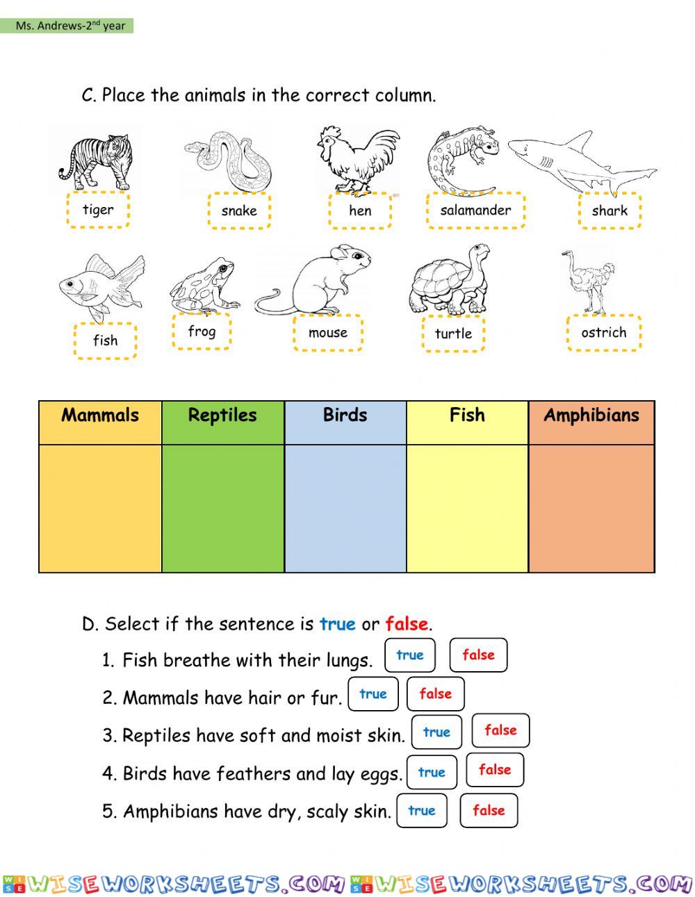 worksheet
