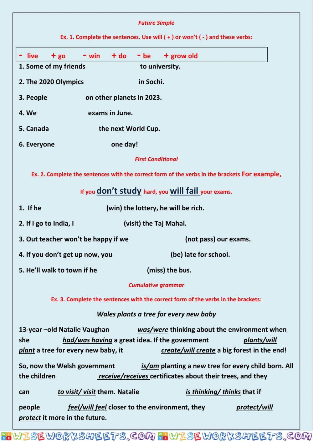 Future simple grammar