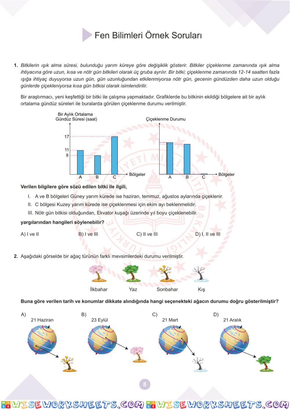 worksheet