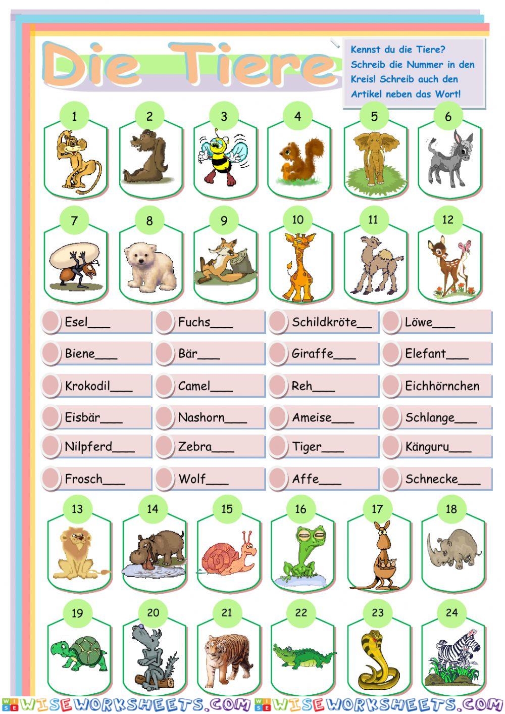 Tiere