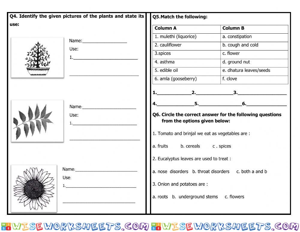 worksheet