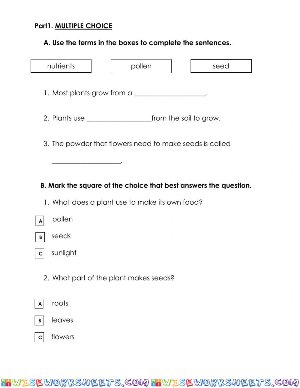 worksheet