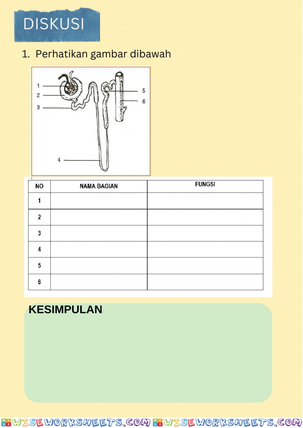 worksheet