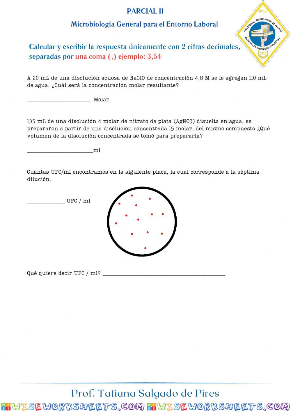 worksheet