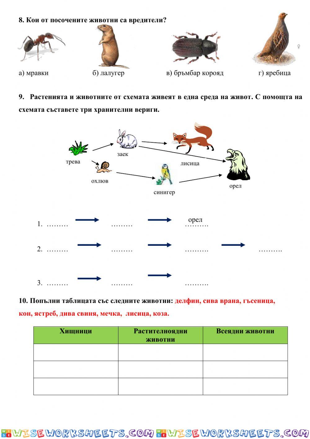 worksheet