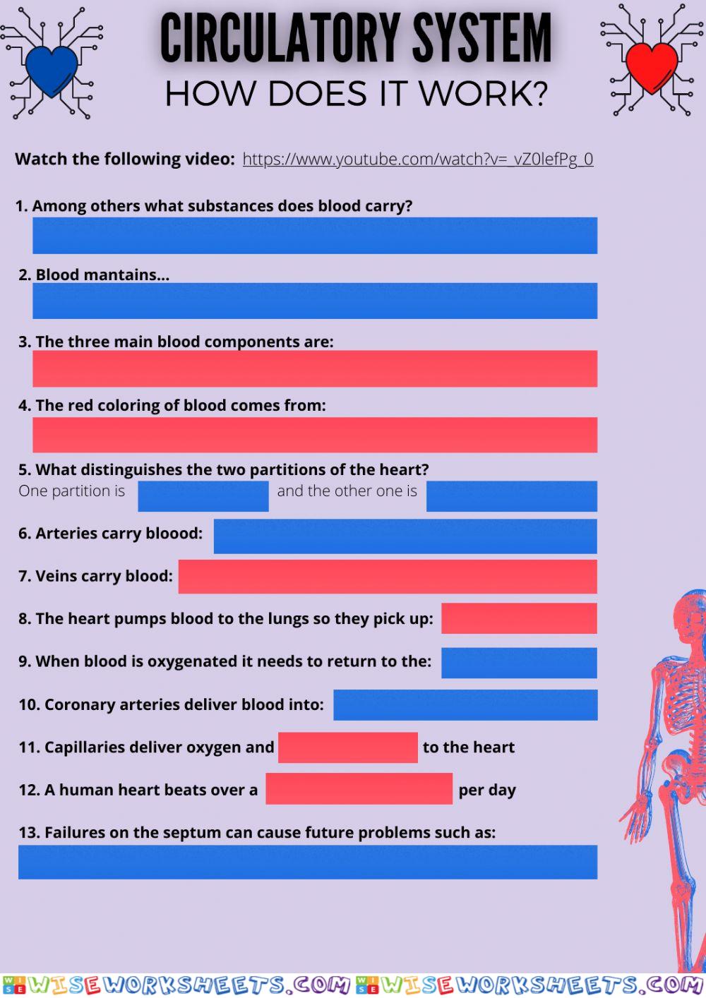 Circulatory System