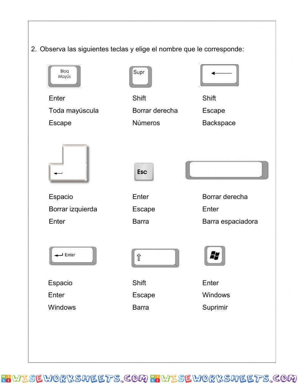 worksheet