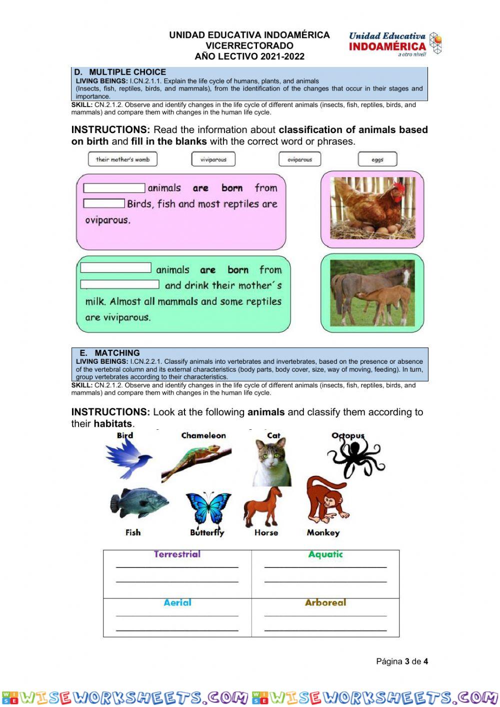 worksheet