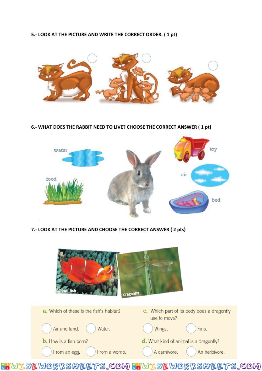 worksheet