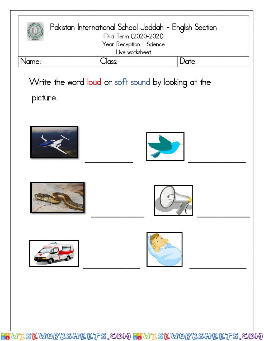 Science live worksheet sources of sound