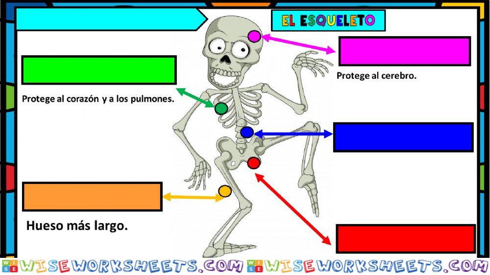 El Esqueleto
