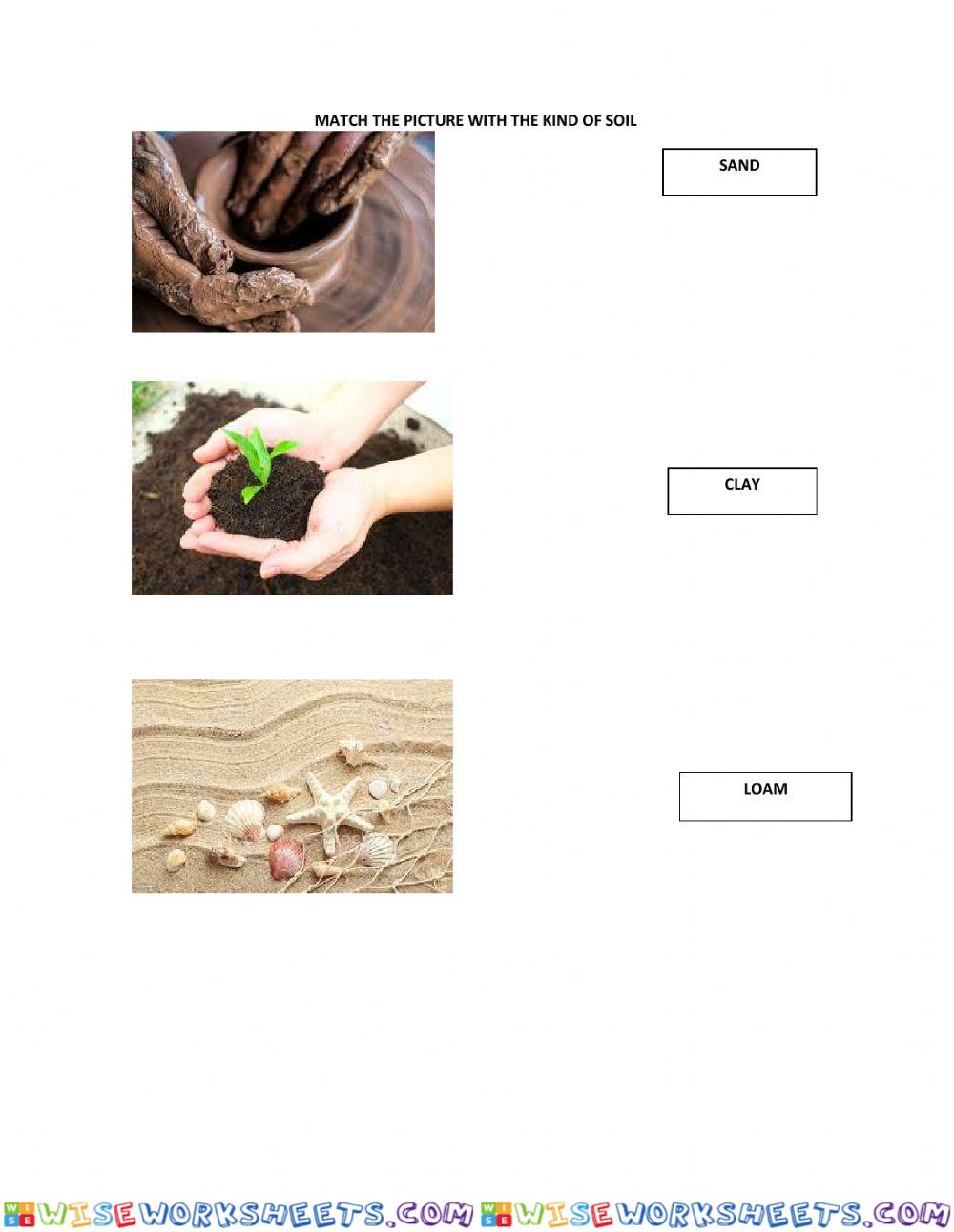 worksheet