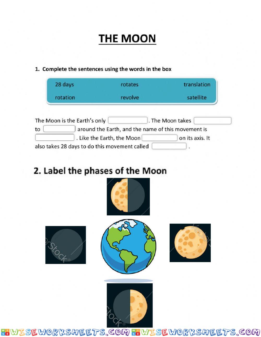 The moon phases