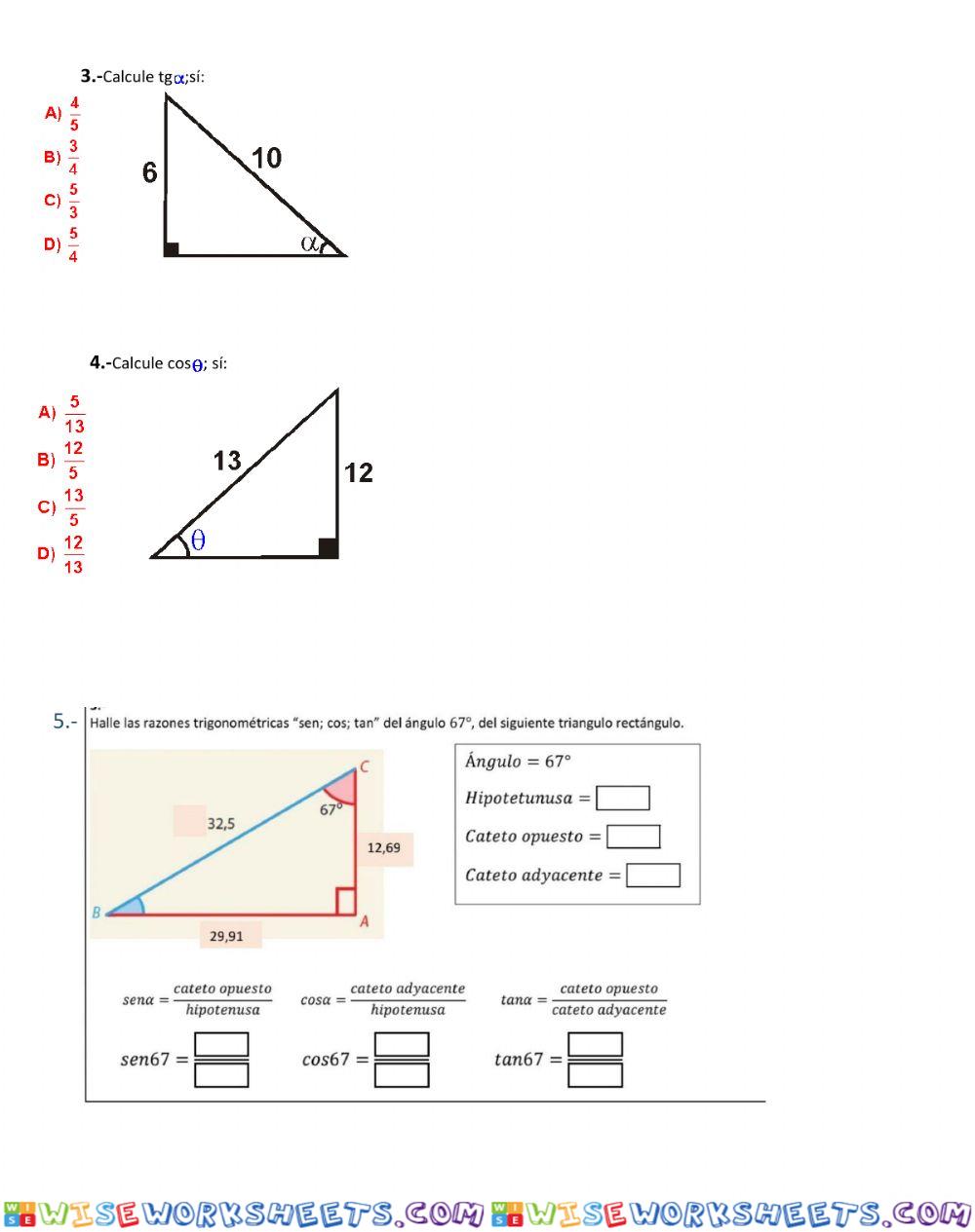 worksheet