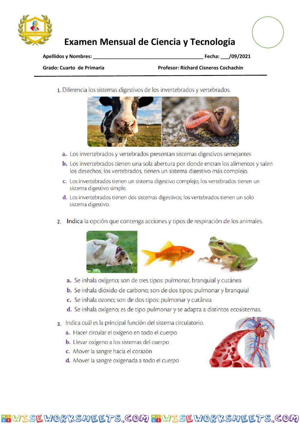 Ciencia cuarto