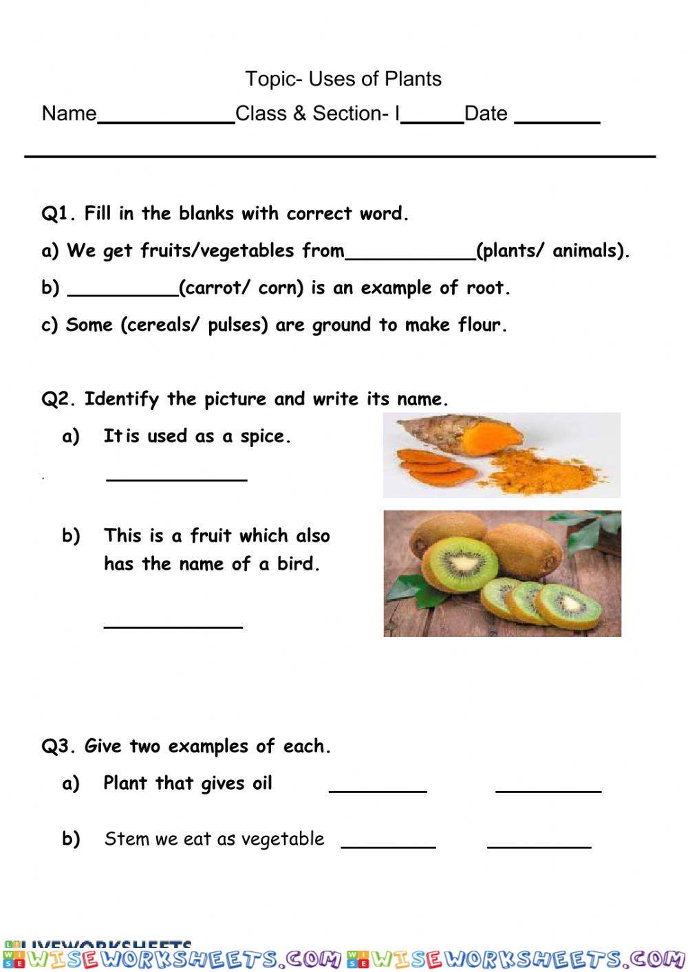 worksheet