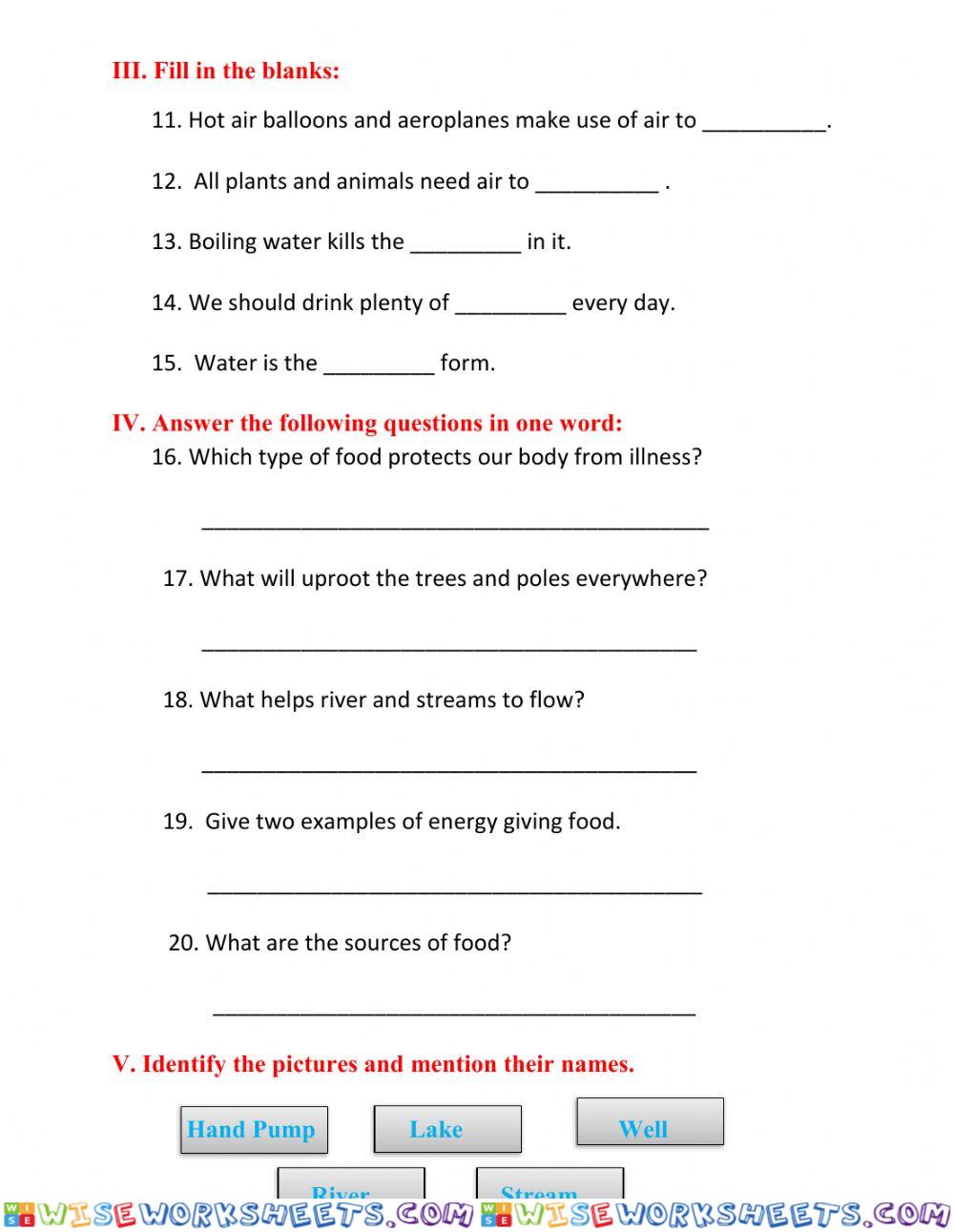 worksheet