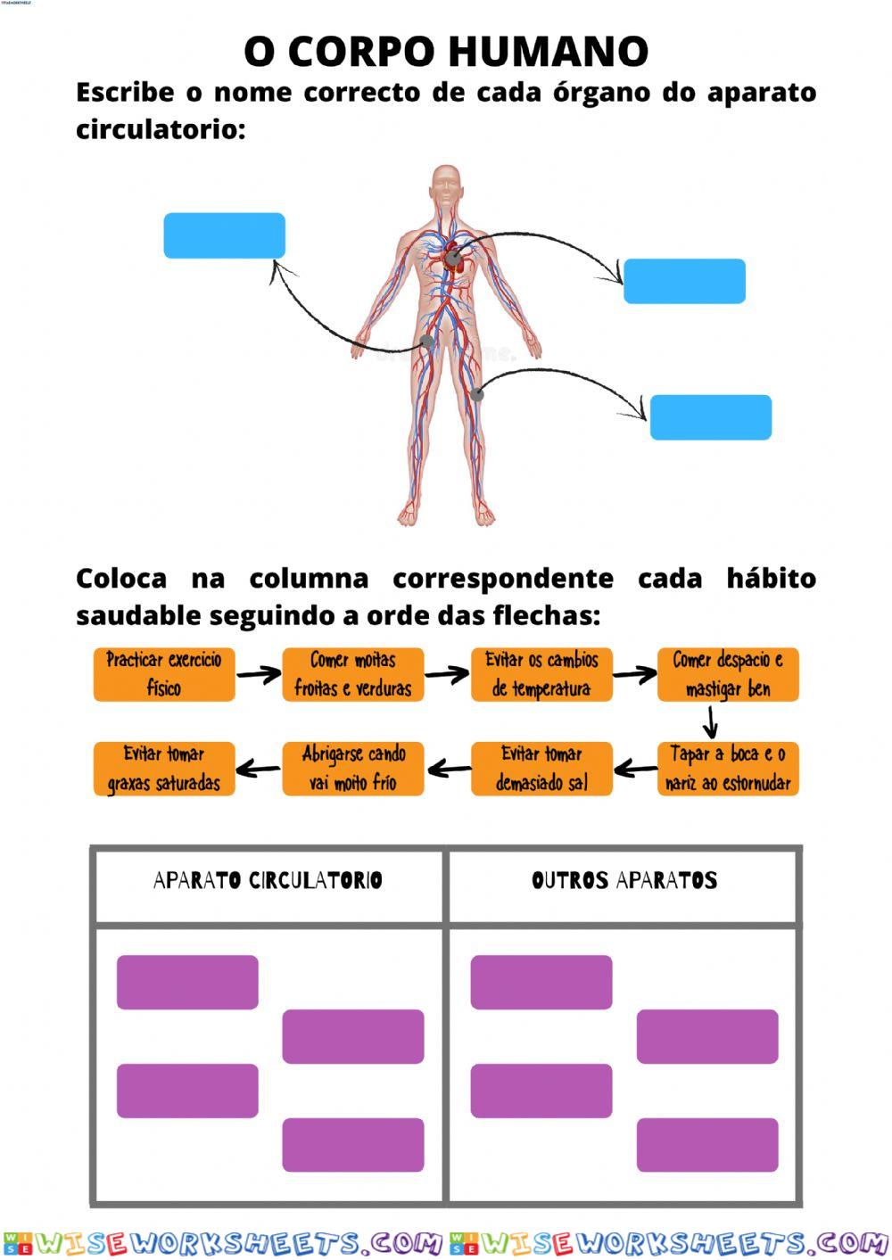 O corpo humano