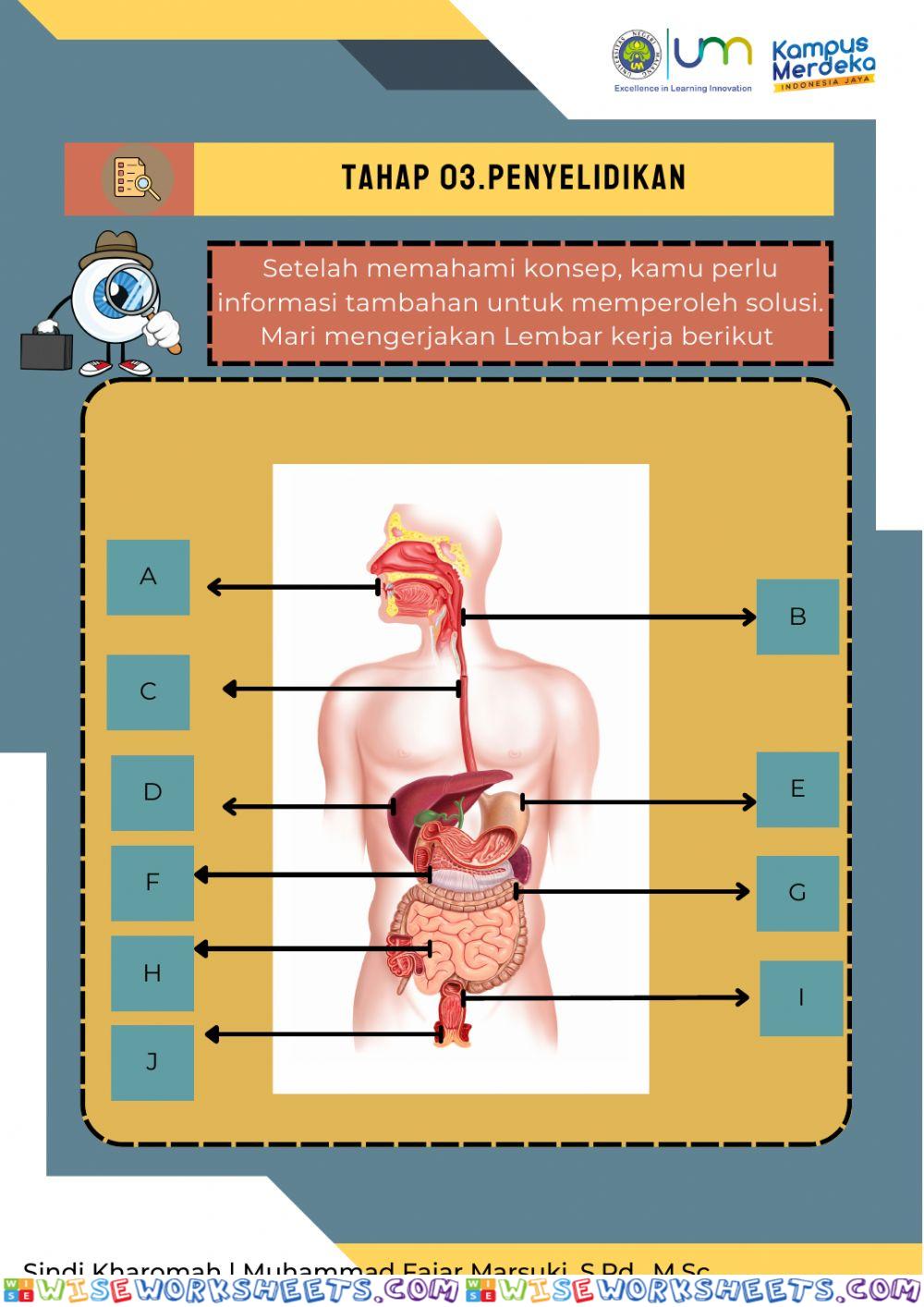 Lkpd pembelajaran 3 materi sistem pencernaan kelas viii kasus lambung