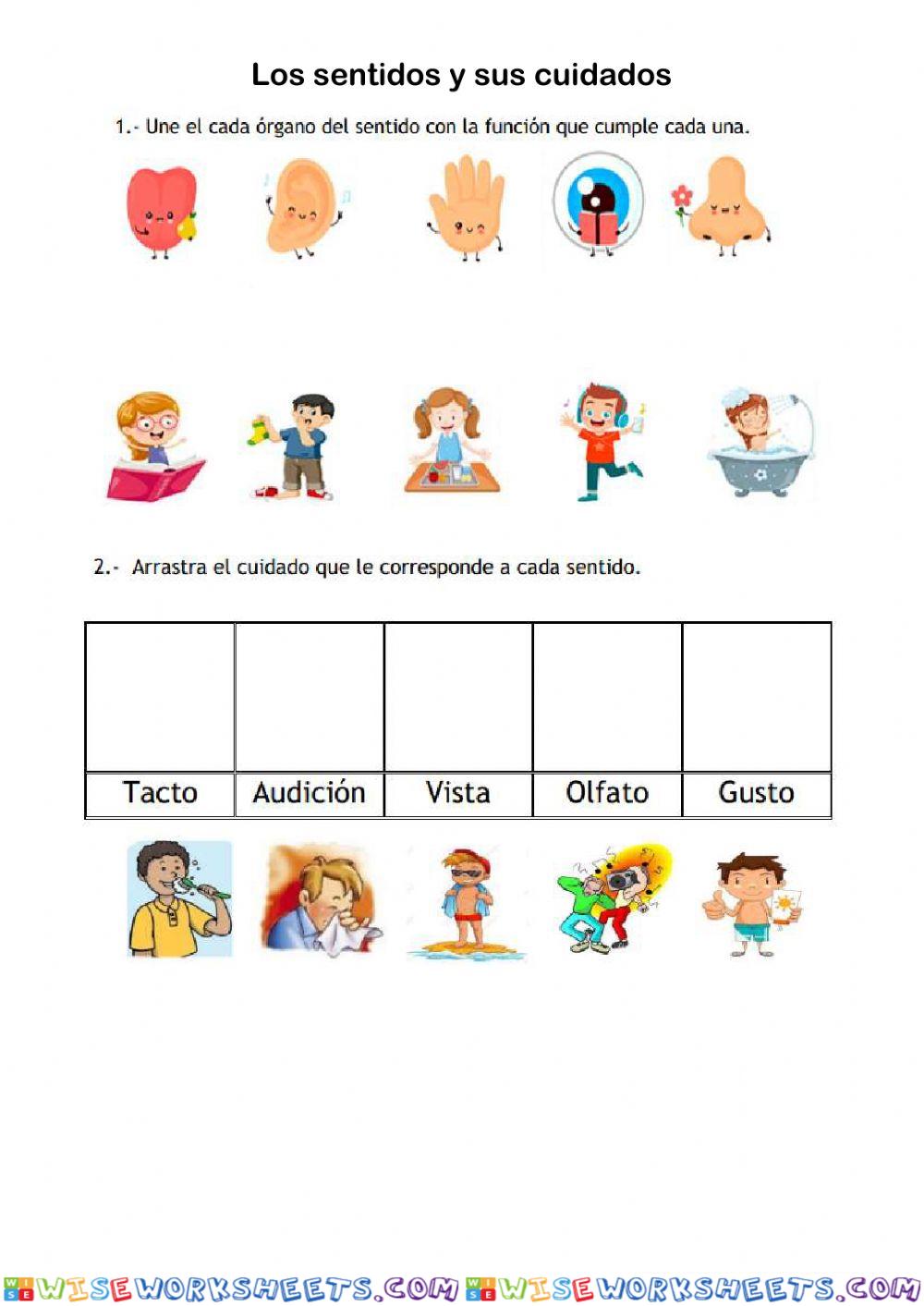 Practica de los sentidos y sus cuidados