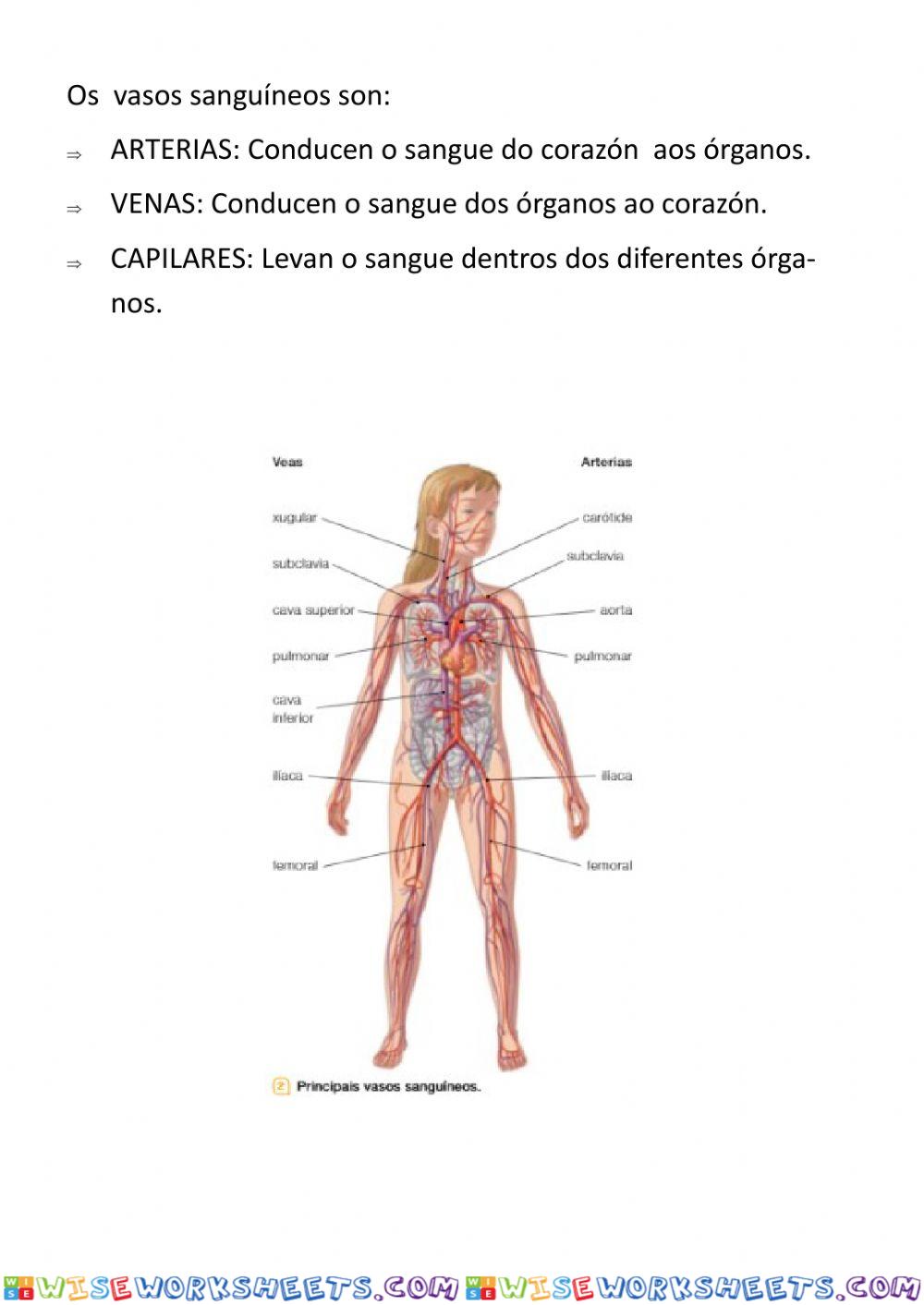 worksheet