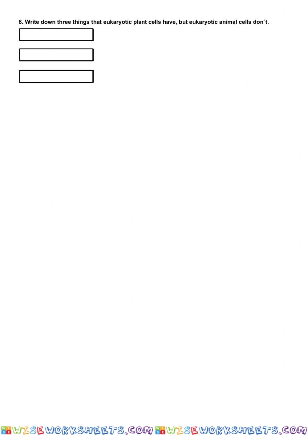 worksheet