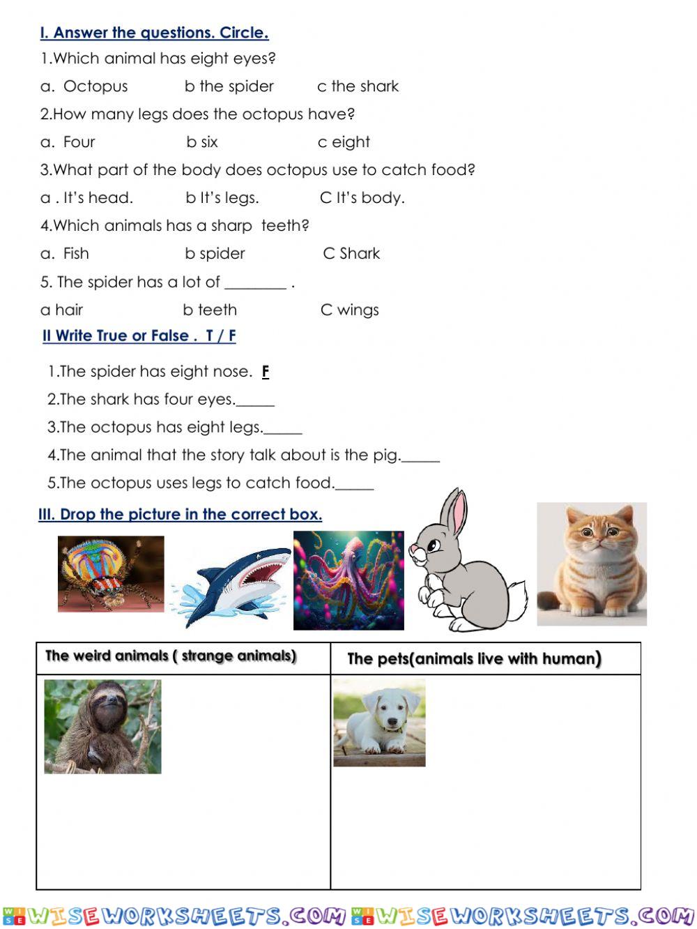 worksheet