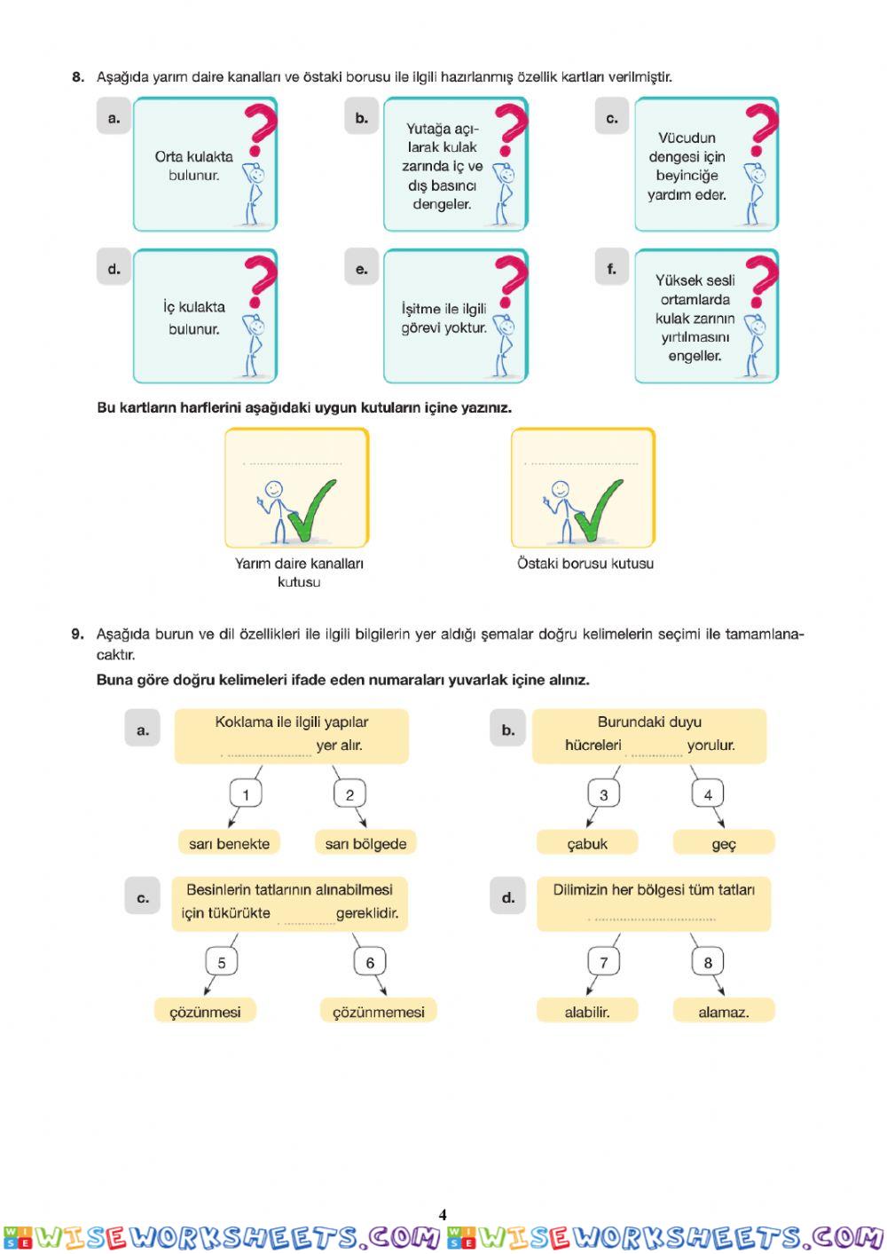 worksheet