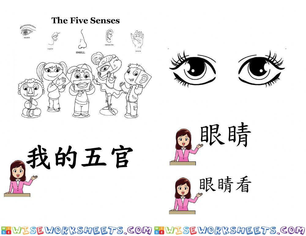 我的五官 My Five Senses