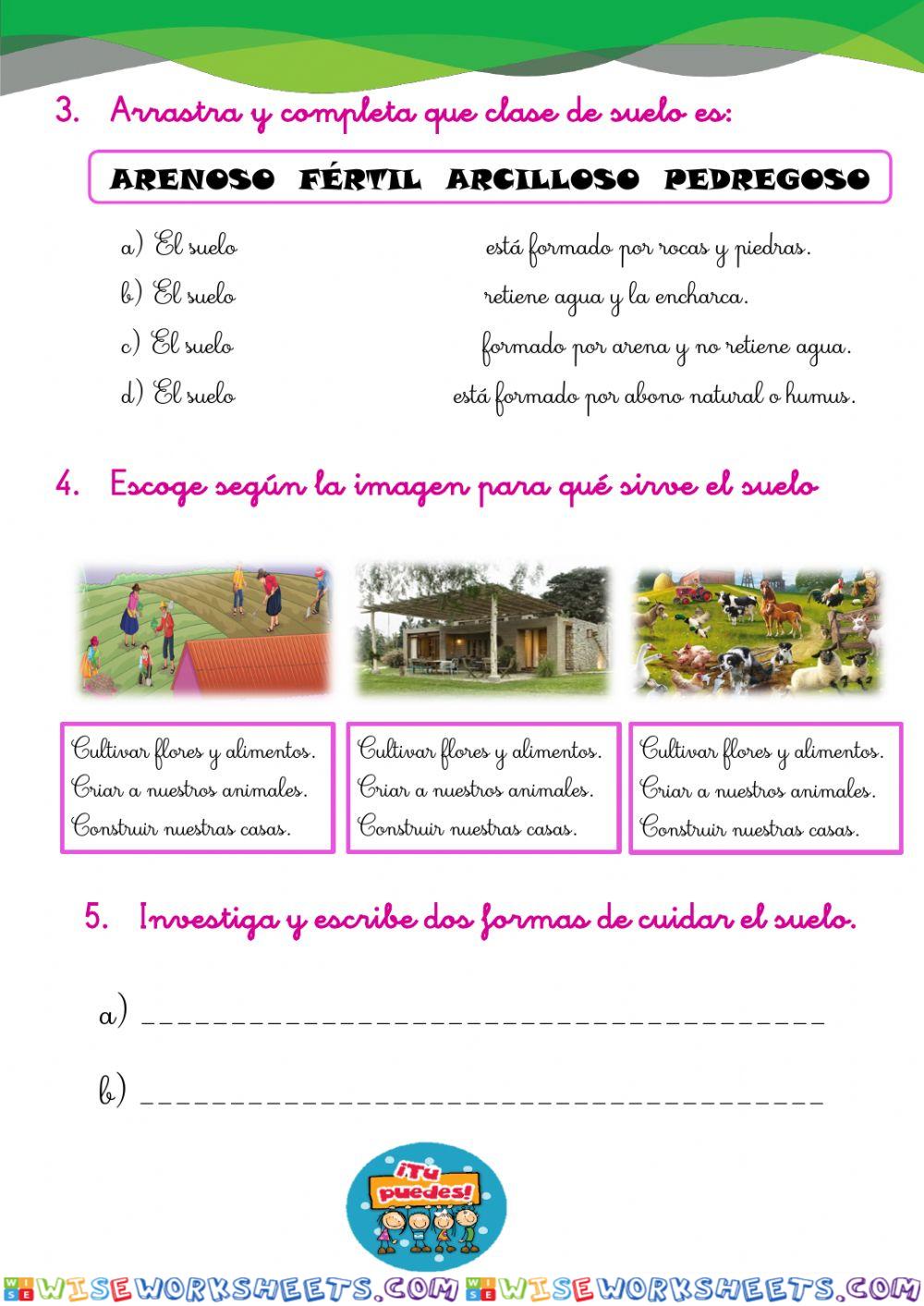 worksheet