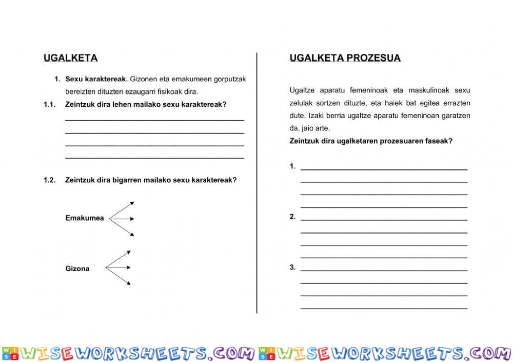 worksheet