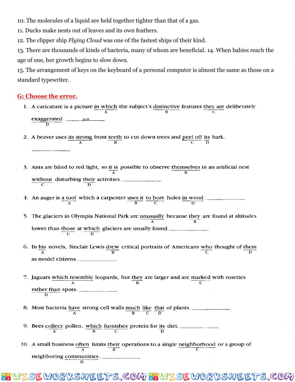 worksheet