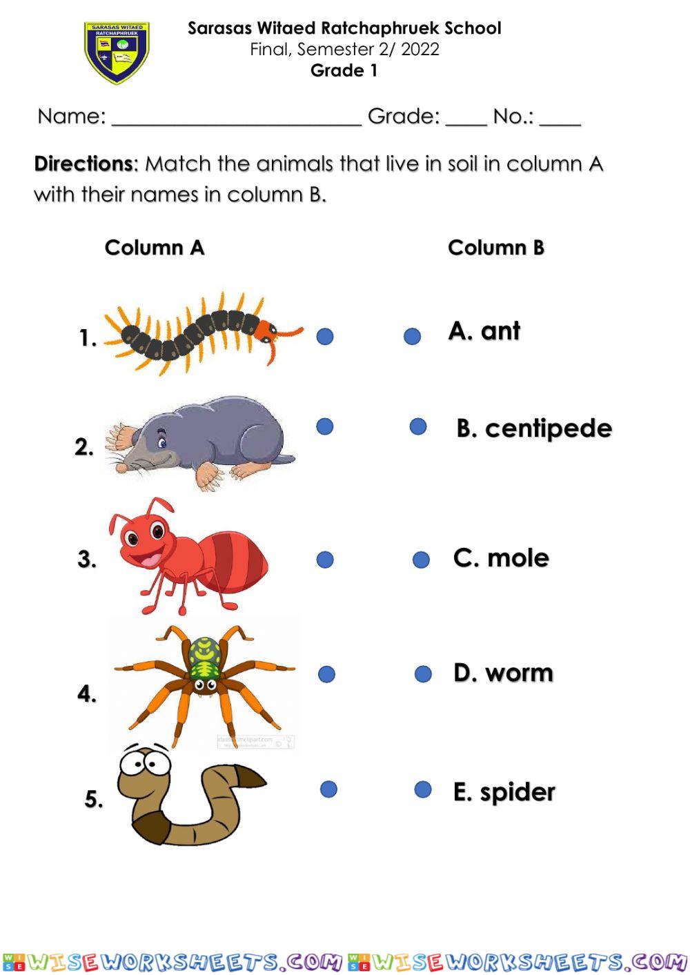 Animals in the soil