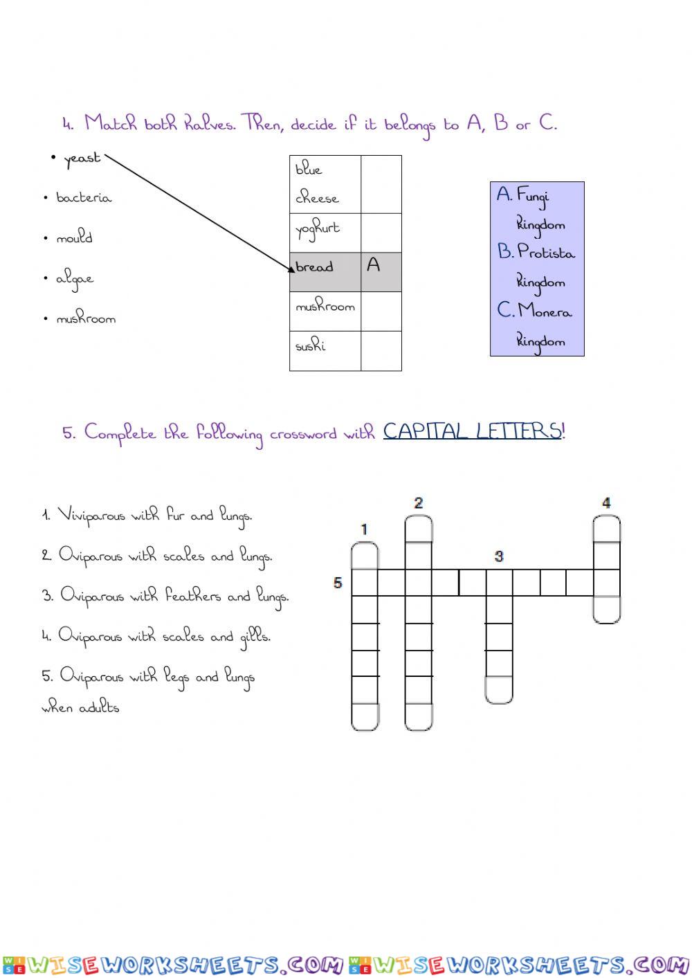 worksheet