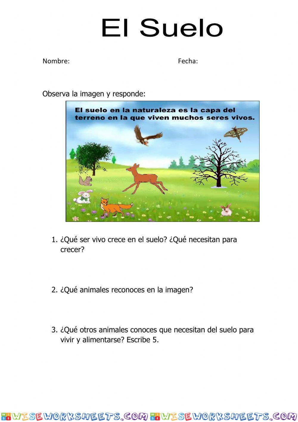 EL SUELO